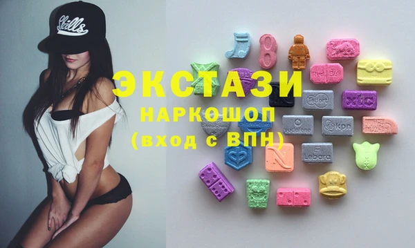 ECSTASY Инсар