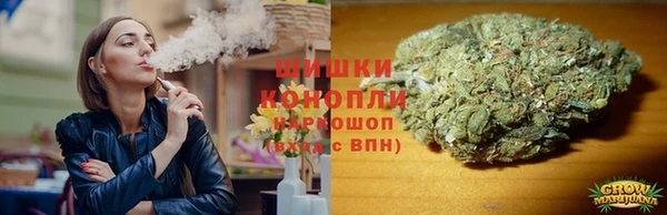 мдпв Иннополис