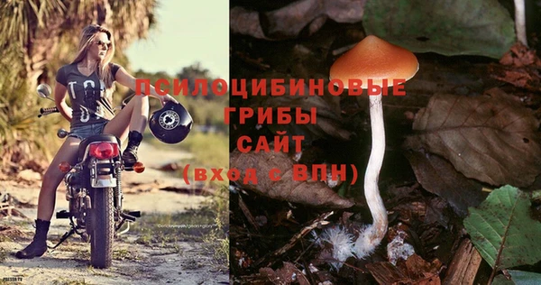 ECSTASY Инсар