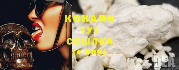 ECSTASY Инсар