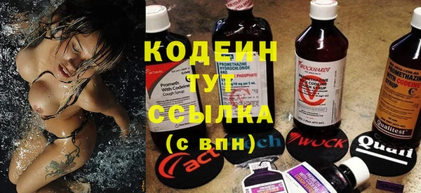 ешки Инта