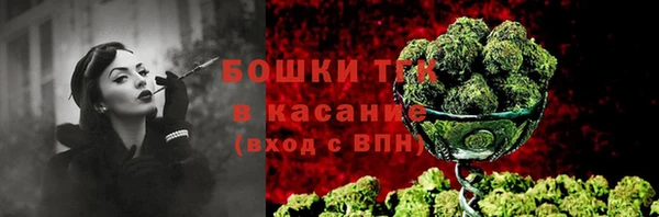 мдпв Иннополис