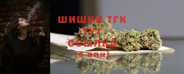 ешки Инта