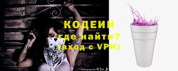 ешки Инта