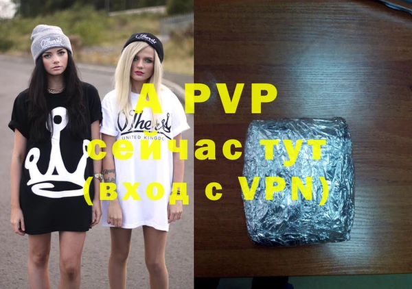 ешки Инта