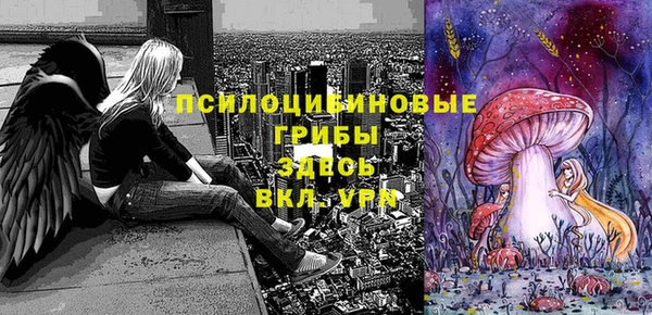 ECSTASY Инсар