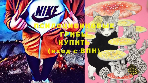 ешки Инта