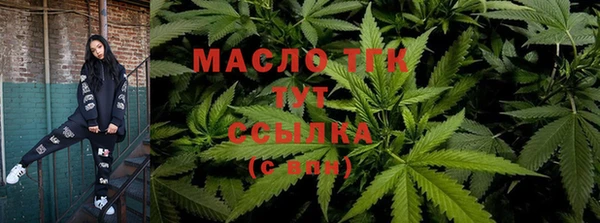 ECSTASY Инсар