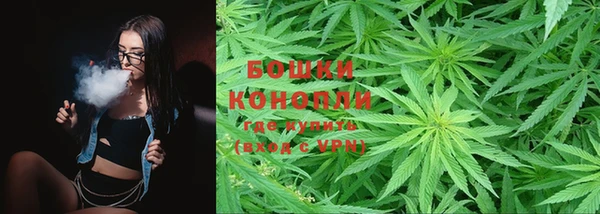 ешки Инта