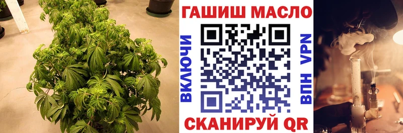 где найти   Елец  ТГК гашишное масло 