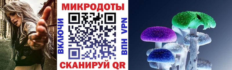 Псилоцибиновые грибы мицелий Елец