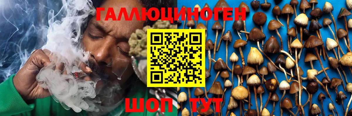 Галлюциногенные грибы MAGIC MUSHROOMS Елец