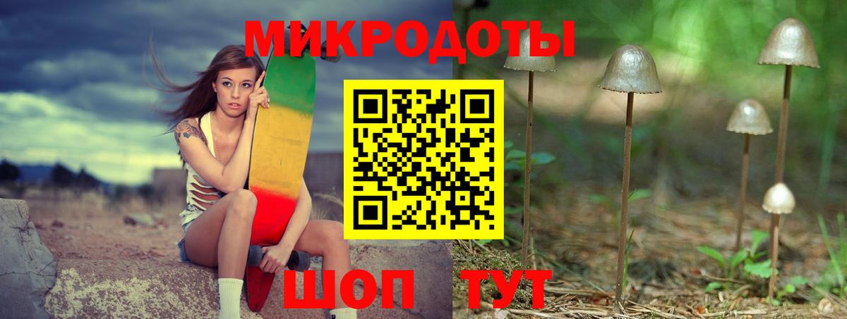 Елец  Псилоцибиновые грибы мухоморы  Вход с VPN 