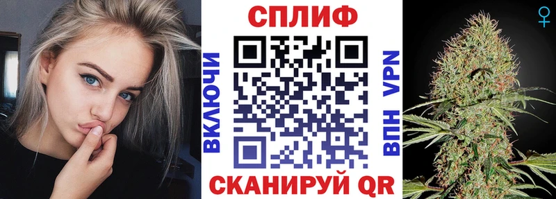 хочу   Елец  Бошки марихуана сатива 